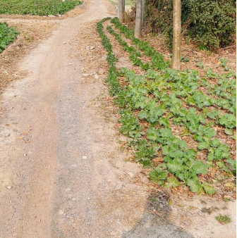 640?wx_fmt=png#imgIndex=8