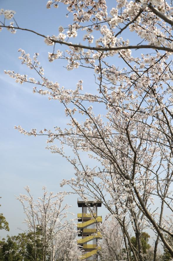 640?wx_fmt=png&from=appmsg#imgIndex=6