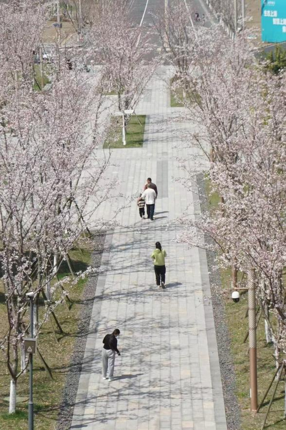 640?wx_fmt=png&from=appmsg#imgIndex=7