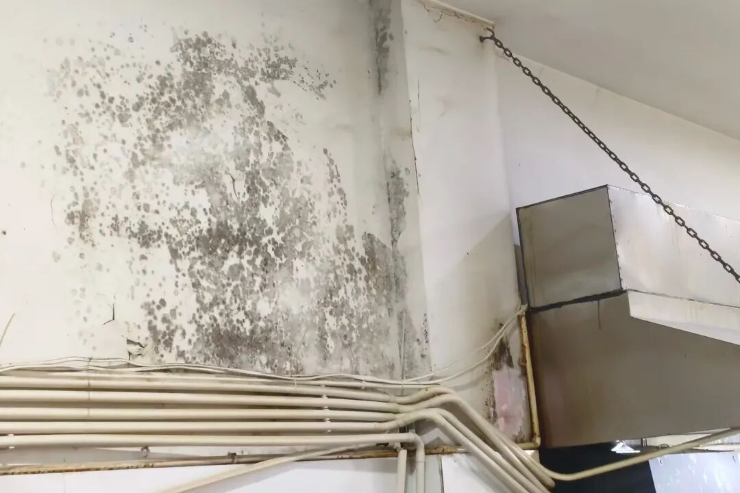 640?wx_fmt=jpeg&from=appmsg#imgIndex=33