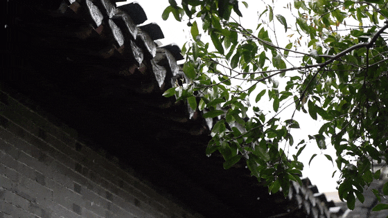 640?wx_fmt=gif&from=appmsg#imgIndex=8