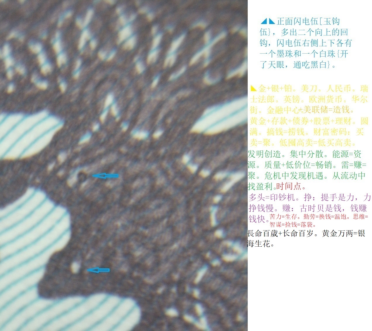 DSCF0981.JPG