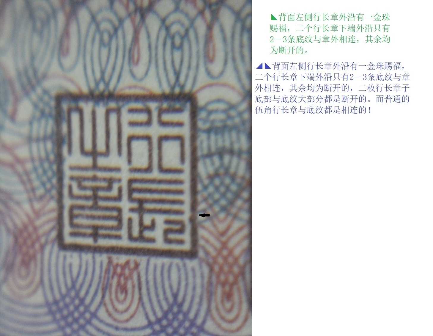 DSCF0992.JPG