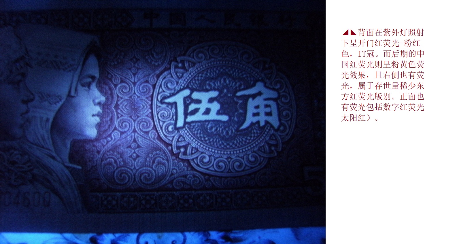 DSCF1010.JPG