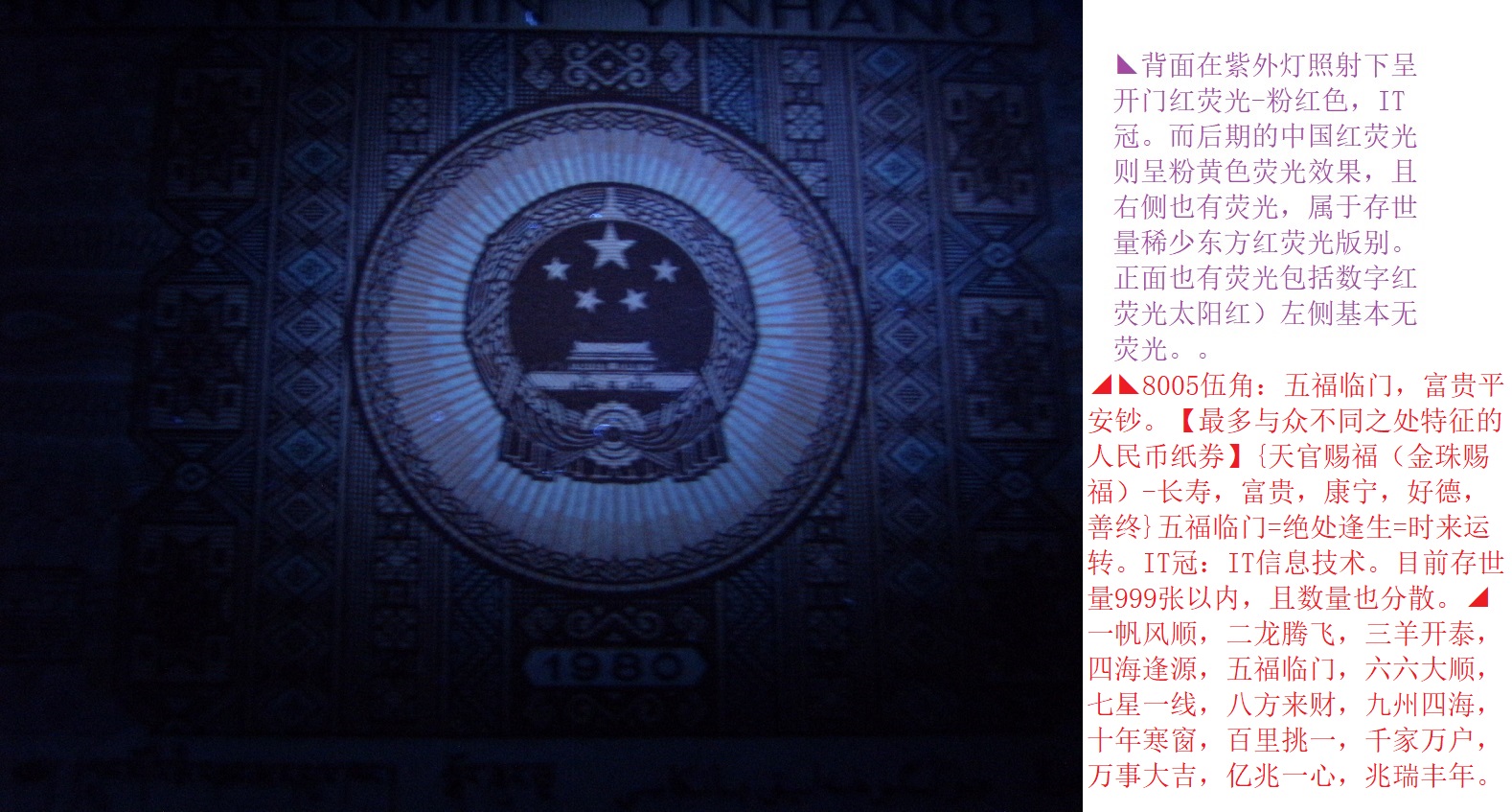 DSCF1017.JPG