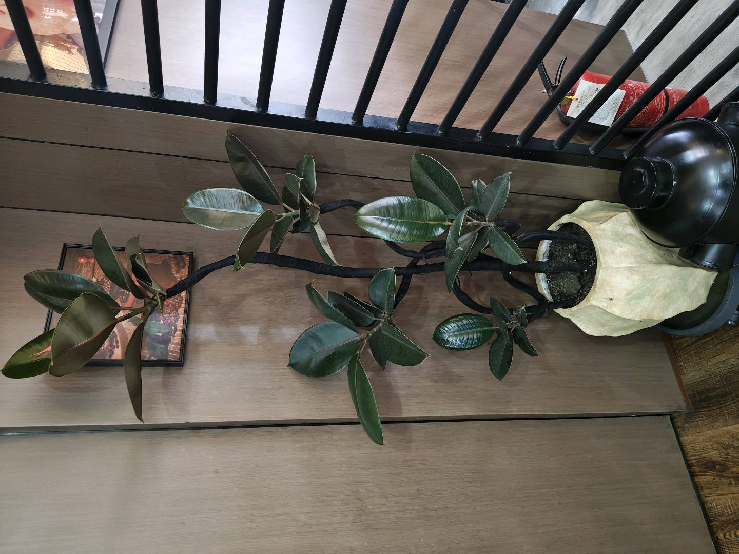 1783899778397_IMG_20260711_153931967_HDR.jpg